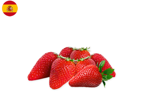 Strawberry, Candonga from Spain (Organic)