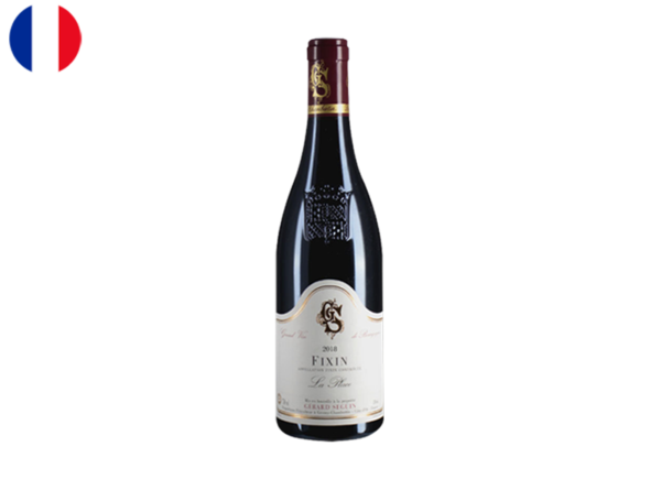 Fixin AOC, La Place, Domaine Gérard Seguin, 2018