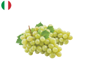 cheeseclub groceries delivery hong kong fruit grape