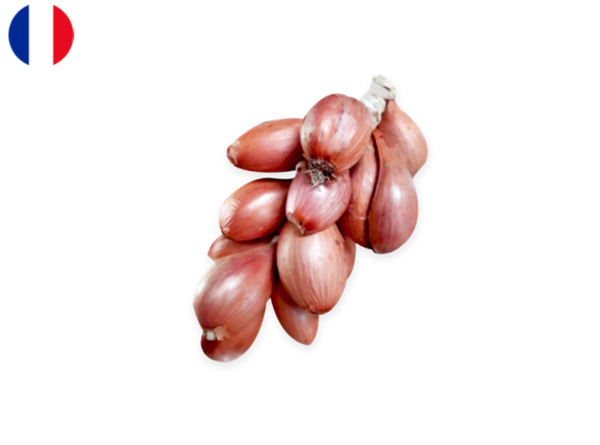 Shallots, Long Violet braided from Brittany, France (Organic)