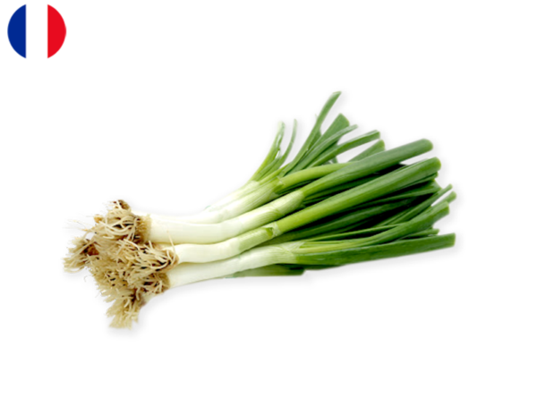 Leek, Mini from Brittany, France
