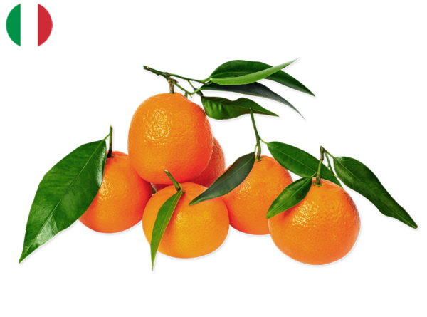 Clementine, Hernandina -from Sicily, Italy (Organic)