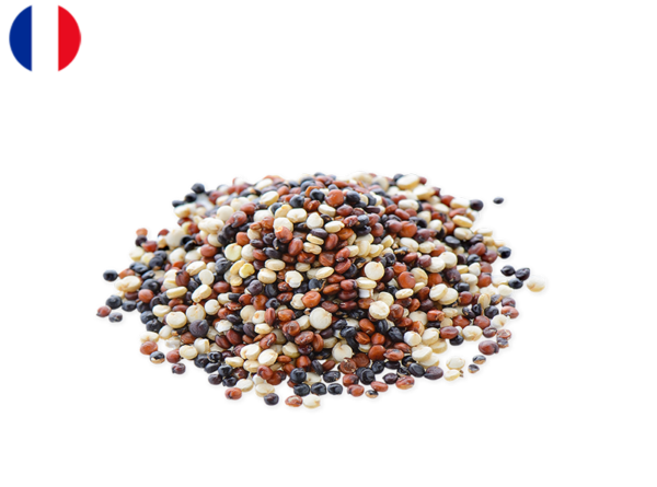 Quinoa, Tricolour from Peru (Organic)
