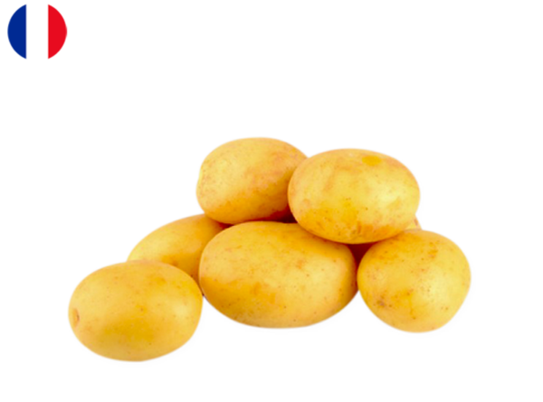 Potato, Ostara from Batz Island, France (Organic)