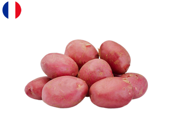 Potato, Rubis from Batz Island, France (Organic)