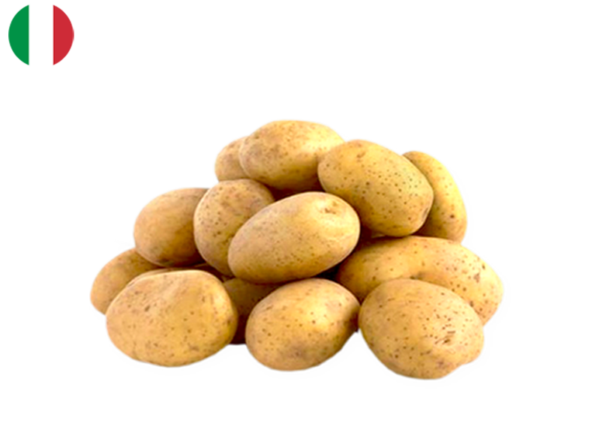 Potato, Spunta New Harvest from Italy (Organic)