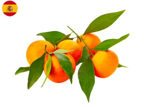 organic delivery groceries hong kong fruits orange clementines