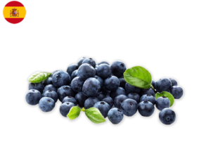 fruits blueberry organic delivery groceries hong kong