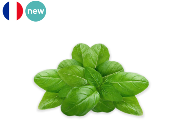 cheeseclub groceries delivery hong kong basil fresh