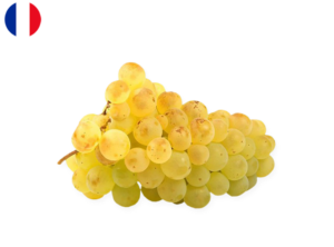 cheeseclub groceries delivery chasselas white grape fruits