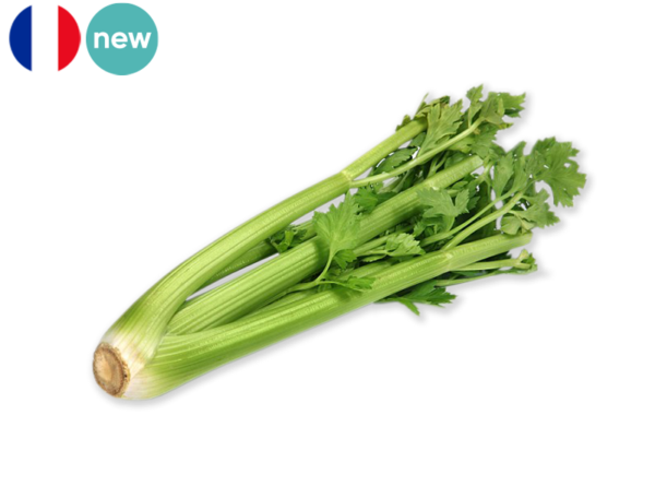 Celery,  Branch from France (Organic)