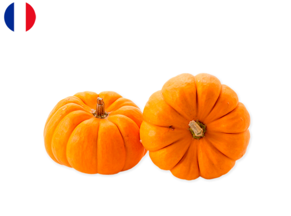 Pumpkin, Jack Little from France (Organic)