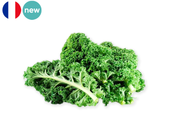 Kale, Curly from France (Organic)