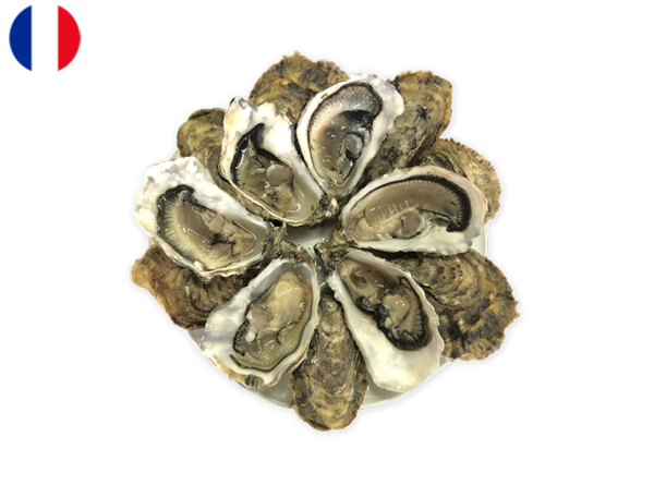 Oysters, Spéciales Jérôme Miet N°2 (x12)