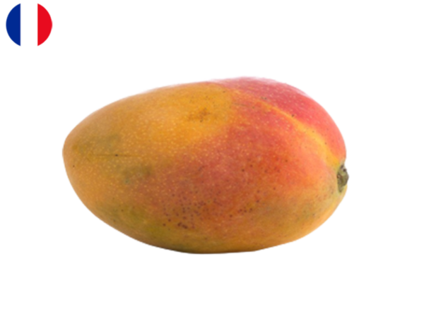 Mango, Cogshall from Reunion Island, France (Sustainable Agriculture)