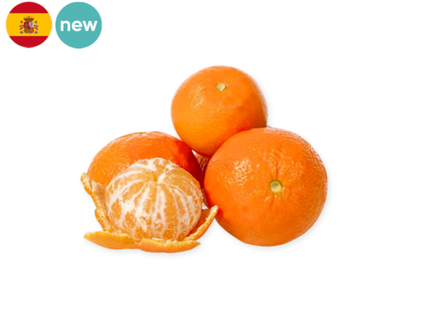 Mandarine, Clemenvilla from Morocco (Organic)