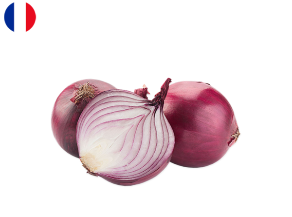 Onion, Red from France (Organic)