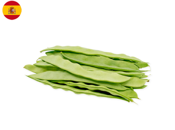 Bean, Flat Green Coconut from Spain (Organic)