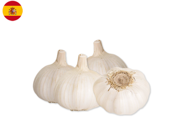 Garlic, White from Spain (Organic)