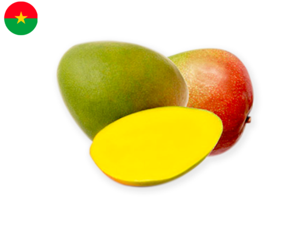 Mango, Amelie from Burkina Faso (Organic)