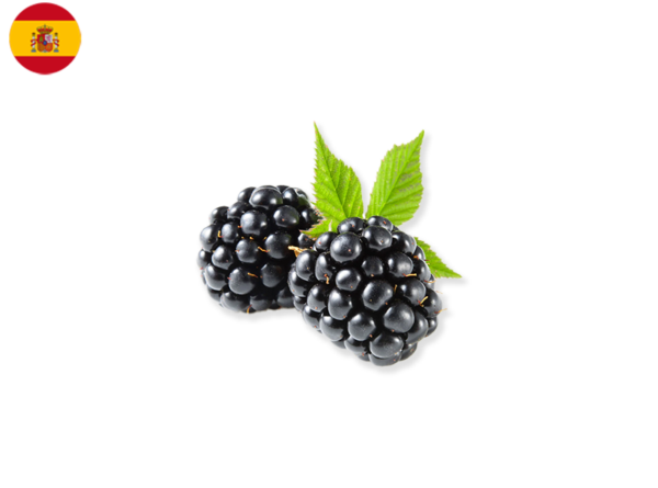 Blackberry, from Spain (Organic)