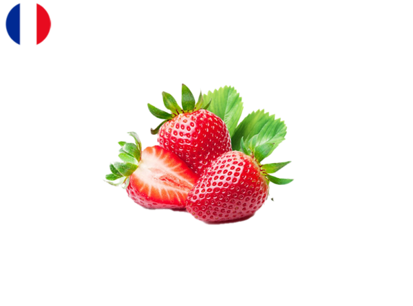 Strawberry, Dream from France (Organic)