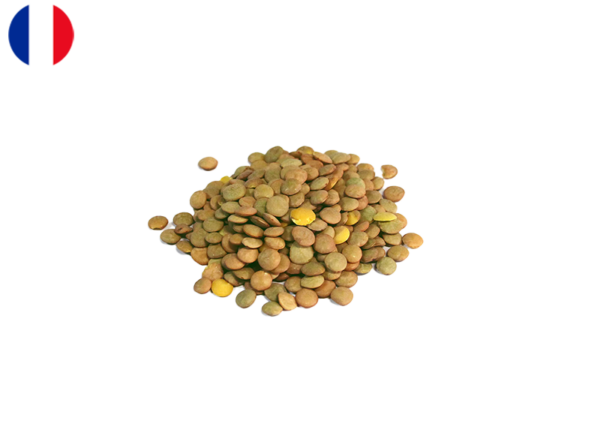 Lentils, Green from France (Demeter Biodynamic)