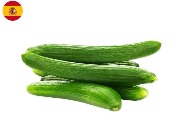 Cucumber, Long from Spain (Organic)