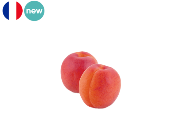 Apricot, Pricia from France (Organic)