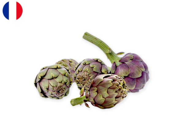Artichoke, Violet from France (Organic)