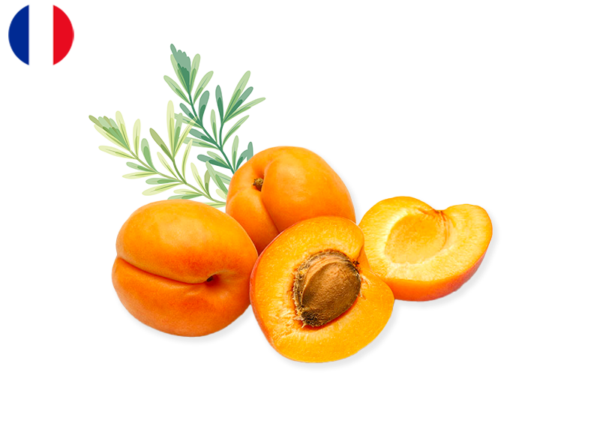 Apricot, from France (Organic)