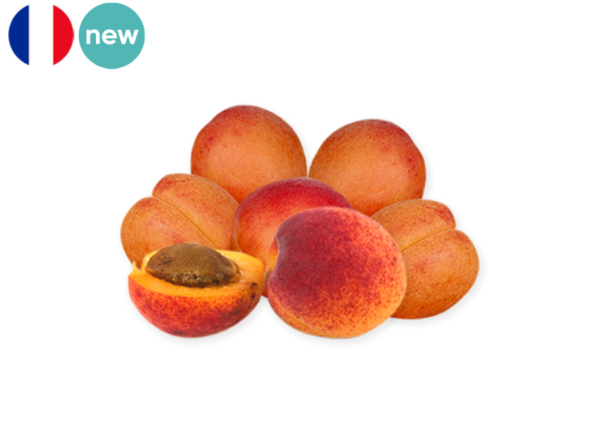 Apricot, Aristo from France (Organic)