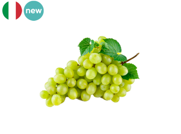 Grape, White Seedless from Italy (Organic)