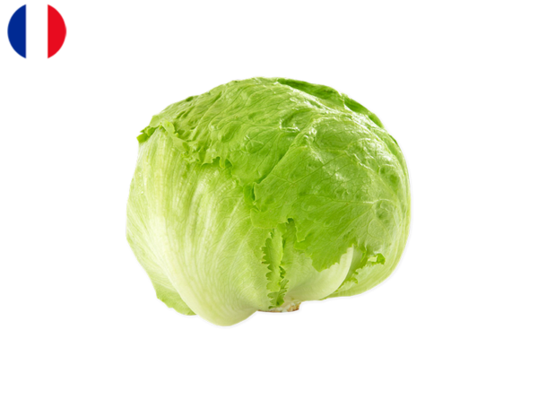 Salad, Iceberg from France (Organic)
