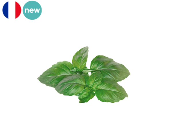 Basil, Fresh from France