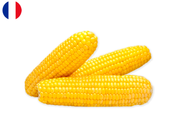 Corn, Sweet from France (Organic)