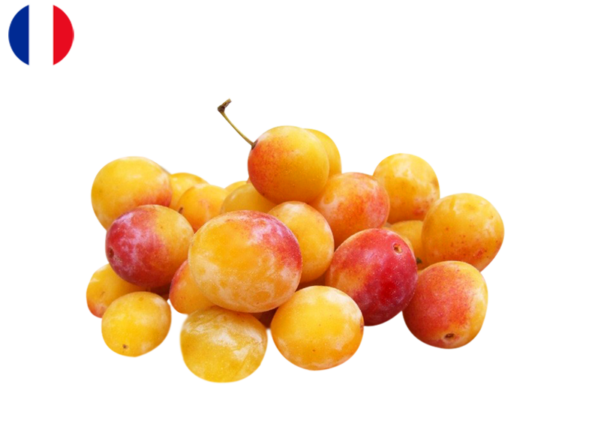 Plum, Mirabelle Yellow from France (Organic)