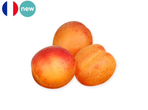 Apricot, Milord from France (Organic)