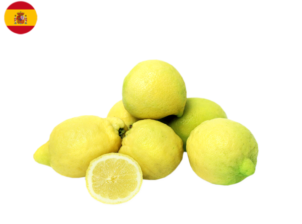 Lemon, Redrojo from Spain (Organic)