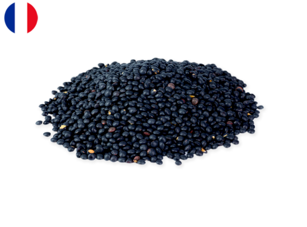 Lentils, Black Beluga from Belgium (Organic)