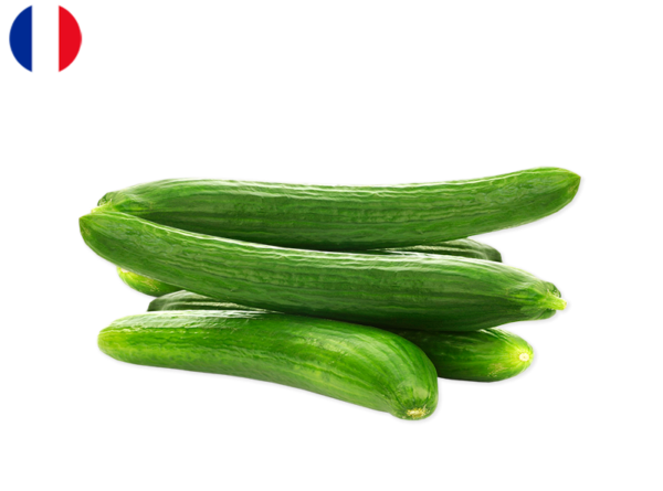 Cucumber, from Reunion Island, France (Sustainable Agriculture)