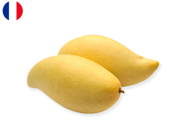 Mango, Nam Doc Mai from Reunion Island, France (Sustainable Agriculture)