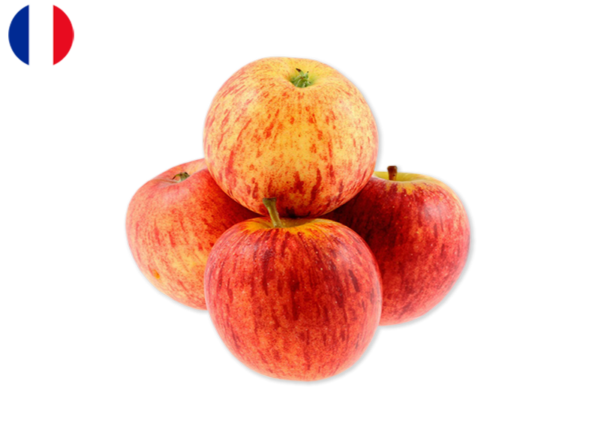 Apple, Reine des Reinettes from France (Organic)