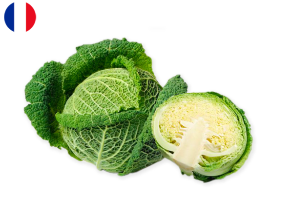 Cabbage, Savoy New Harvest from Brittany, France (Organic)