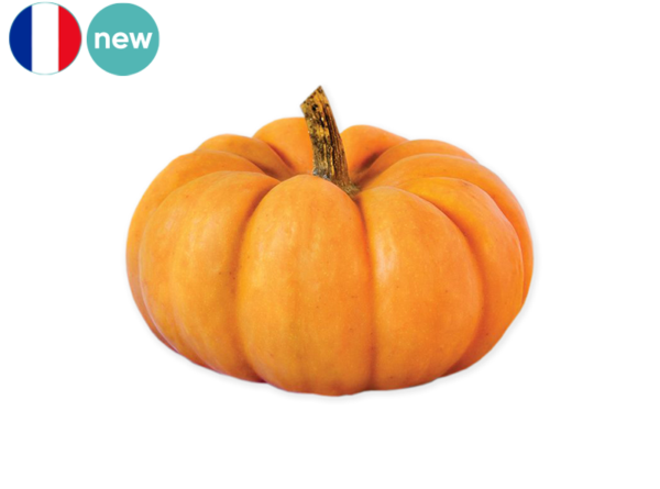 Squash, Jack Be Little from France (Organic)