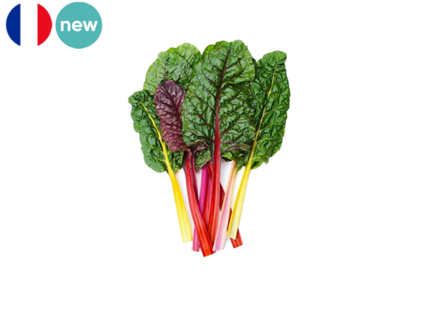 Chard, Rainbow from France (Organic)