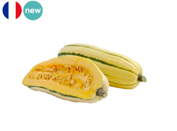 Squash, Delicata from France (Organic)
