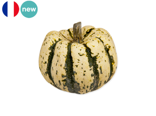 Squash, Patidou from France (Organic)