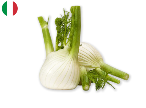 Fennel, from Italy (Organic)