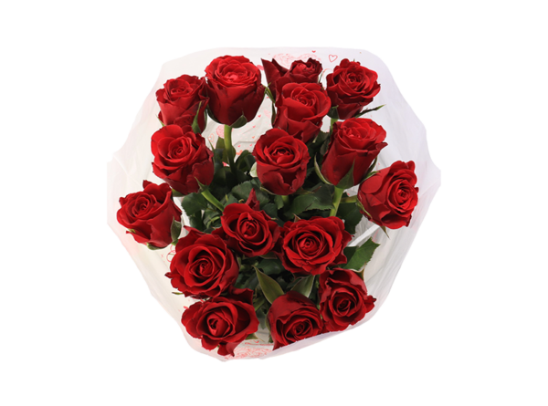 Red Roses Bouquet (x11-17-25)